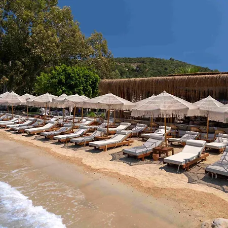 호텔 Roota Bodrum